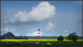 westerhever2.jpg